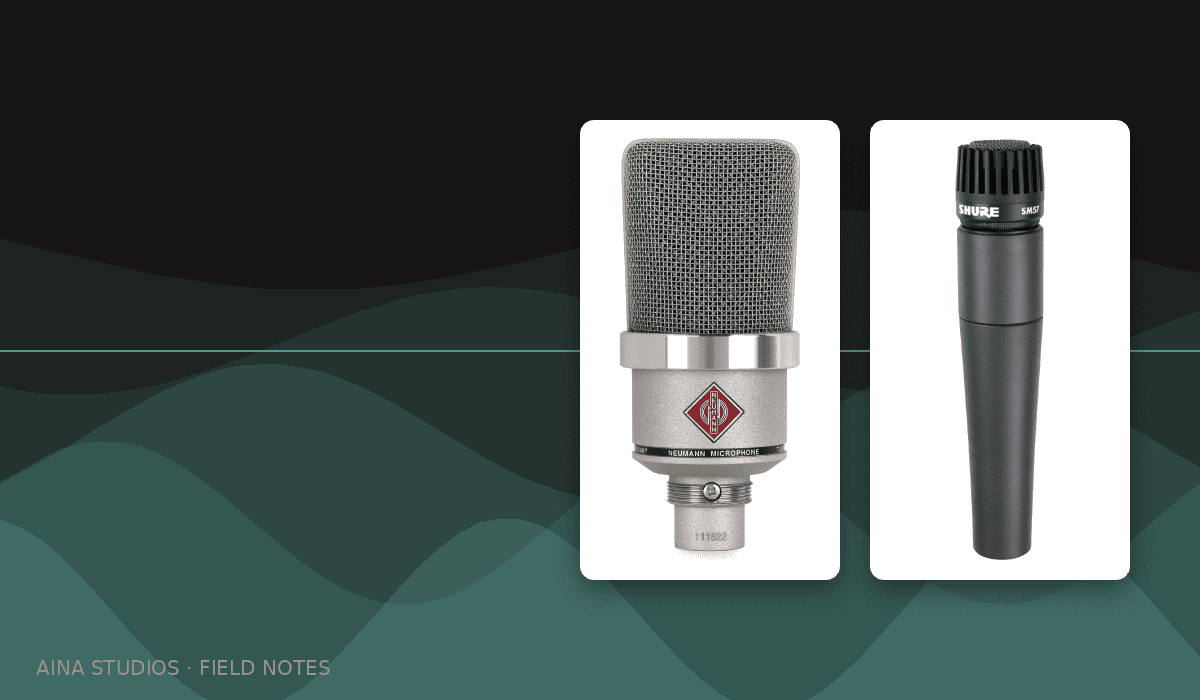 Neumann TLM 102 and Shure SM57 — two pillars of the Aina Studios mic locker